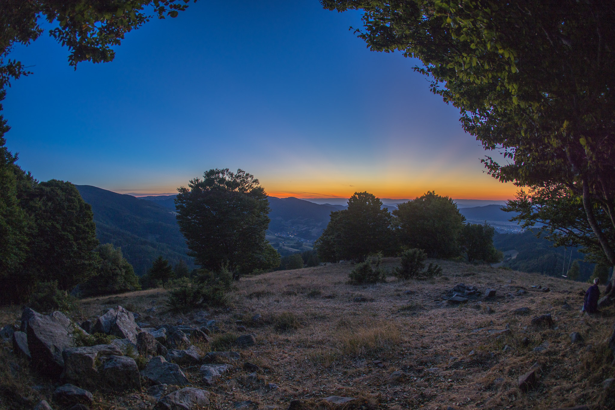 20220813210852 R5D 7141